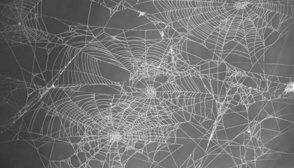 graycobwebs