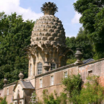 pineapple folly
