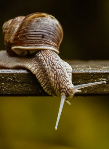 slow it down