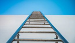 ladder of success